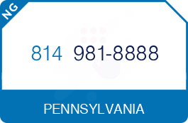 Buy Vanity Phone Number (814) 981-8888