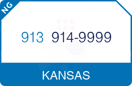 Buy Vanity Phone Number (913) 914-9999