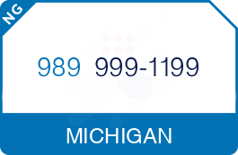 Buy Vanity Phone Number (989) 999-1199