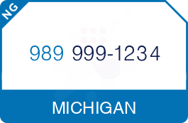 Buy Vanity Phone Number (989) 999-1234
