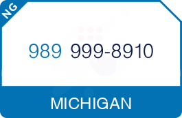 Buy Vanity Phone Number (989) 999-8910